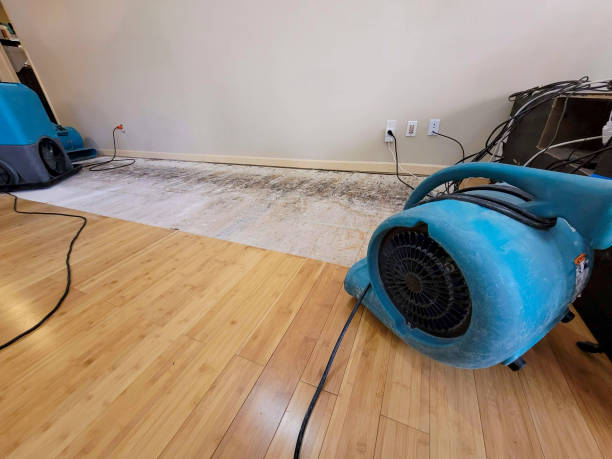 Professional Flood Damage Cleanup technician working in Gallagher, WV